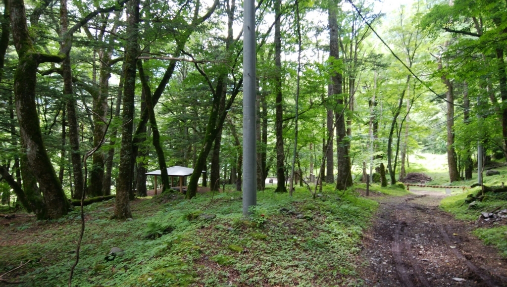 f:id:vivid_783:20170917221732j:plain