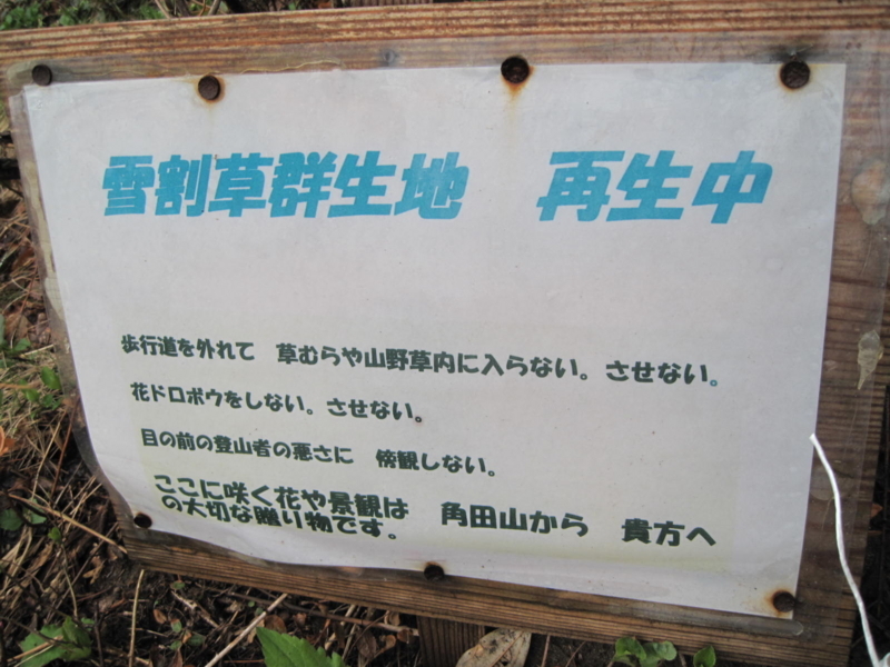 f:id:vivid_783:20180409214358j:plain