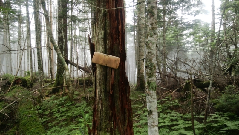 f:id:vivid_783:20180722070914j:plain f:id:vivid_783:20180722070914j:plain