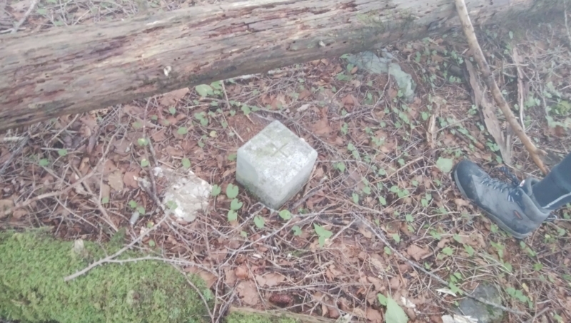 f:id:vivid_783:20180722070915j:plain f:id:vivid_783:20180722070915j:plain