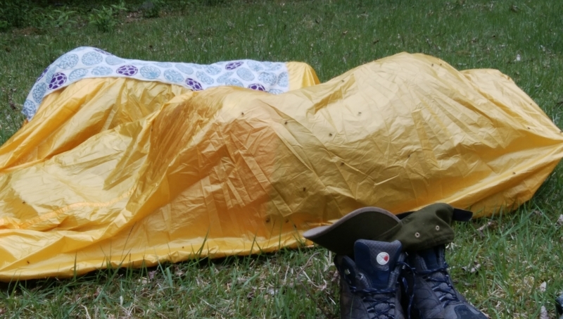 f:id:vivid_783:20180722070921j:plain f:id:vivid_783:20180722070921j:plain