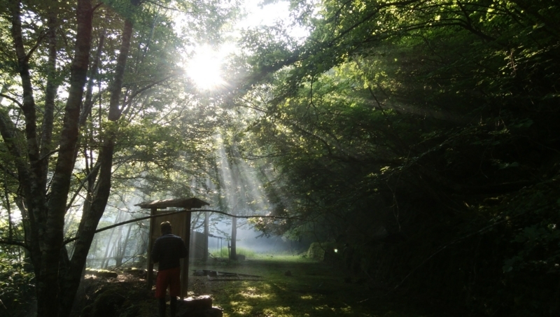 f:id:vivid_783:20180722070924j:plain f:id:vivid_783:20180722070924j:plain