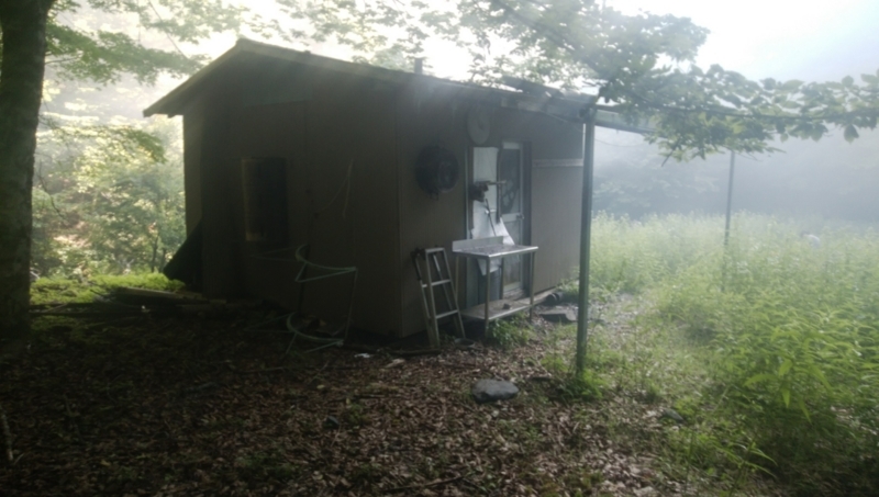 f:id:vivid_783:20180722070926j:plain f:id:vivid_783:20180722070926j:plain