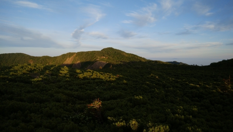 f:id:vivid_783:20180722070945j:plain f:id:vivid_783:20180722070945j:plain