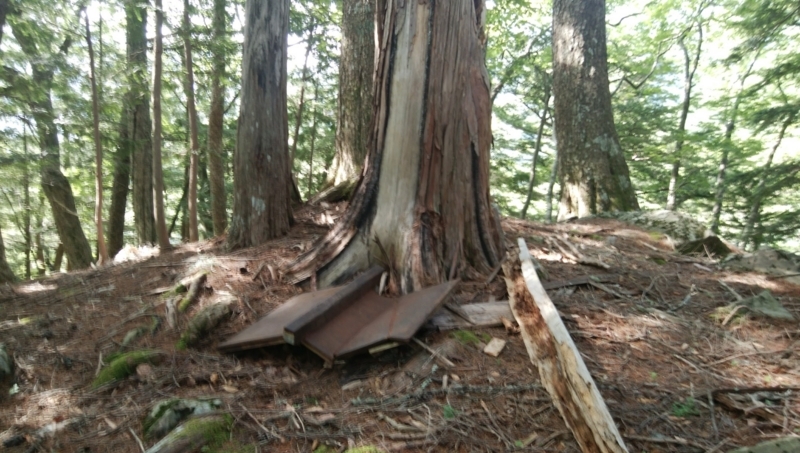 f:id:vivid_783:20180722070951j:plain f:id:vivid_783:20180722070951j:plain