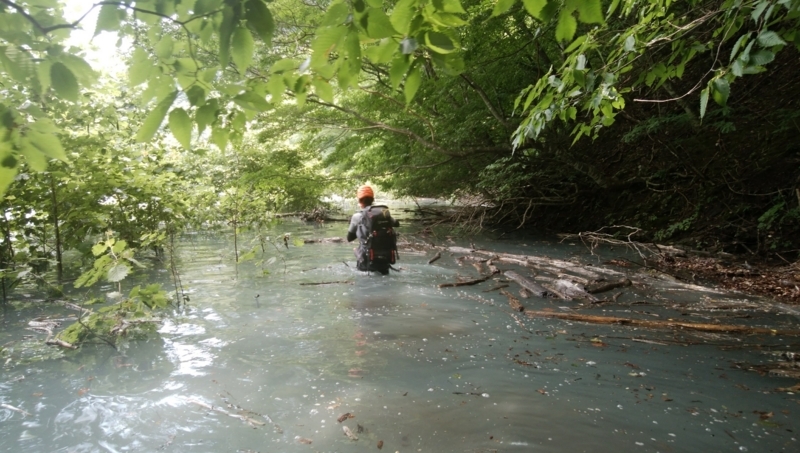 f:id:vivid_783:20180722071001j:plain f:id:vivid_783:20180722071001j:plain