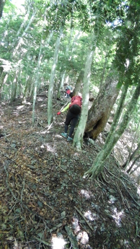 f:id:vivid_783:20180722071018j:plain f:id:vivid_783:20180722071018j:plain