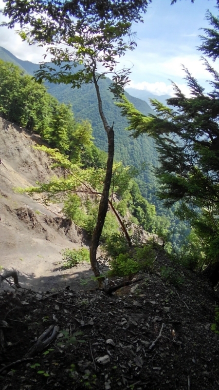 f:id:vivid_783:20180722071019j:plain f:id:vivid_783:20180722071019j:plain