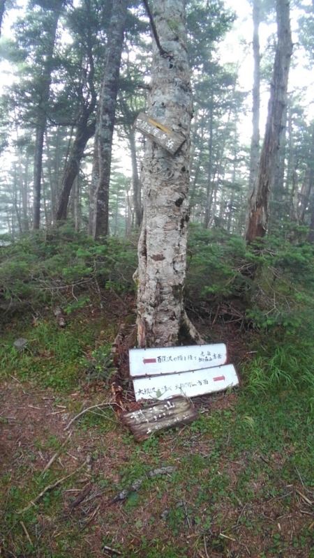 f:id:vivid_783:20180722071020j:plain f:id:vivid_783:20180722071020j:plain