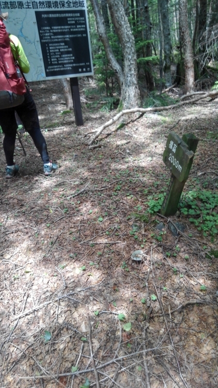 f:id:vivid_783:20180722071032j:plain f:id:vivid_783:20180722071032j:plain