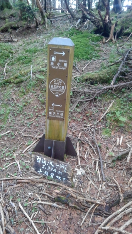 f:id:vivid_783:20180722071035j:plain f:id:vivid_783:20180722071035j:plain