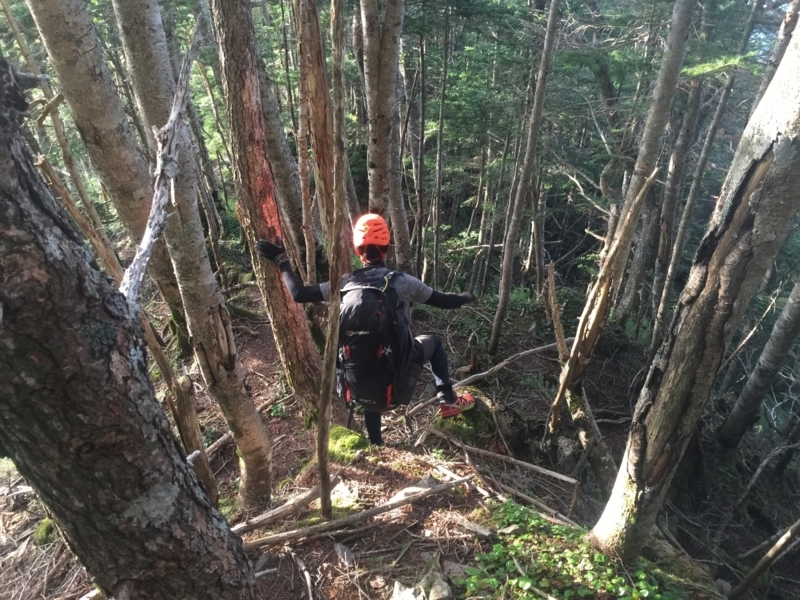 f:id:vivid_783:20180722071108j:plain f:id:vivid_783:20180722071108j:plain