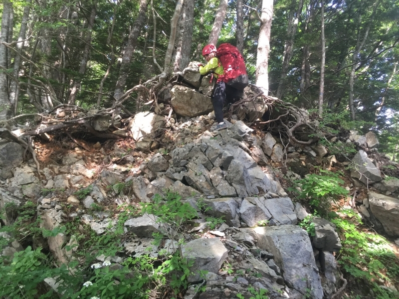 f:id:vivid_783:20180722071111j:plain f:id:vivid_783:20180722071111j:plain