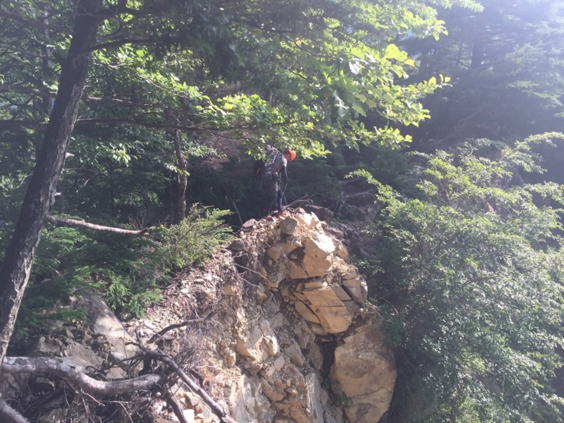 f:id:vivid_783:20180722071113j:plain f:id:vivid_783:20180722071113j:plain