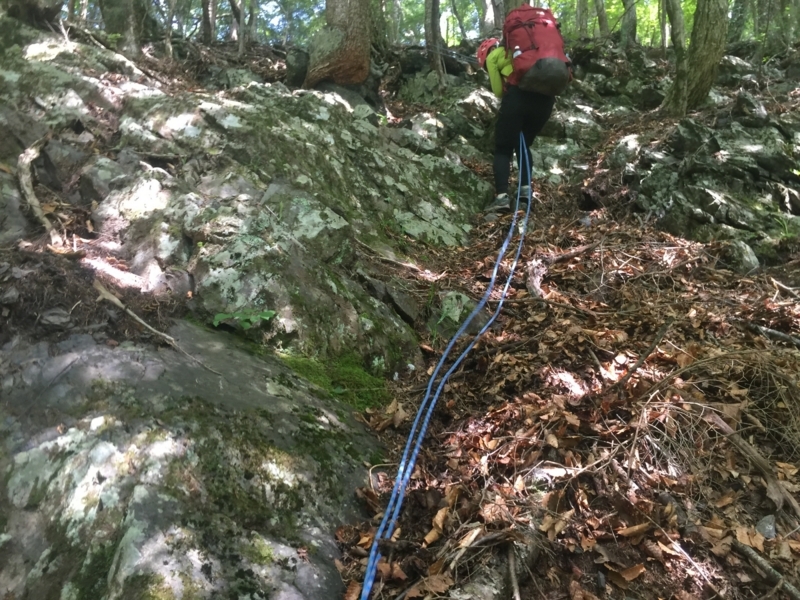 f:id:vivid_783:20180722071115j:plain f:id:vivid_783:20180722071115j:plain