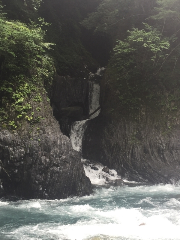 f:id:vivid_783:20180722071117j:plain f:id:vivid_783:20180722071117j:plain