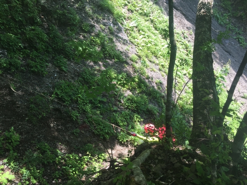 f:id:vivid_783:20180722071121j:plain f:id:vivid_783:20180722071121j:plain