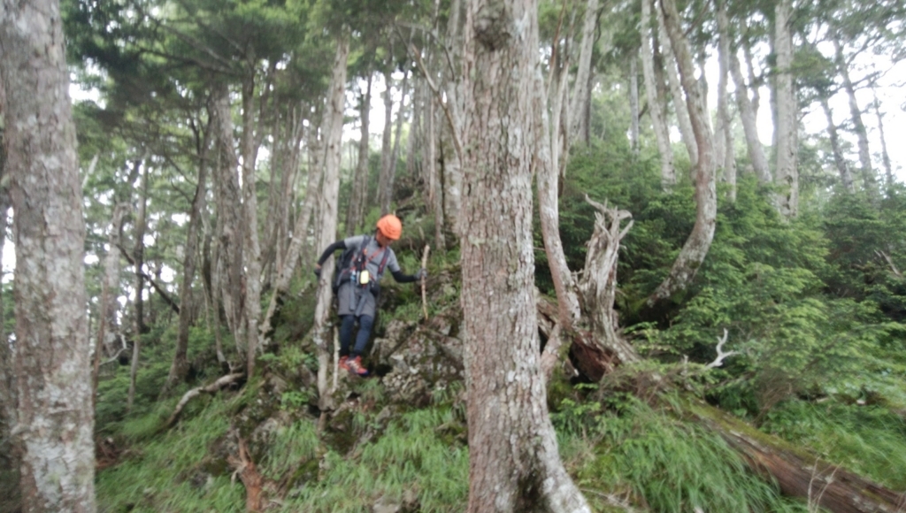 f:id:vivid_783:20180728211037j:plain f:id:vivid_783:20180728211037j:plain