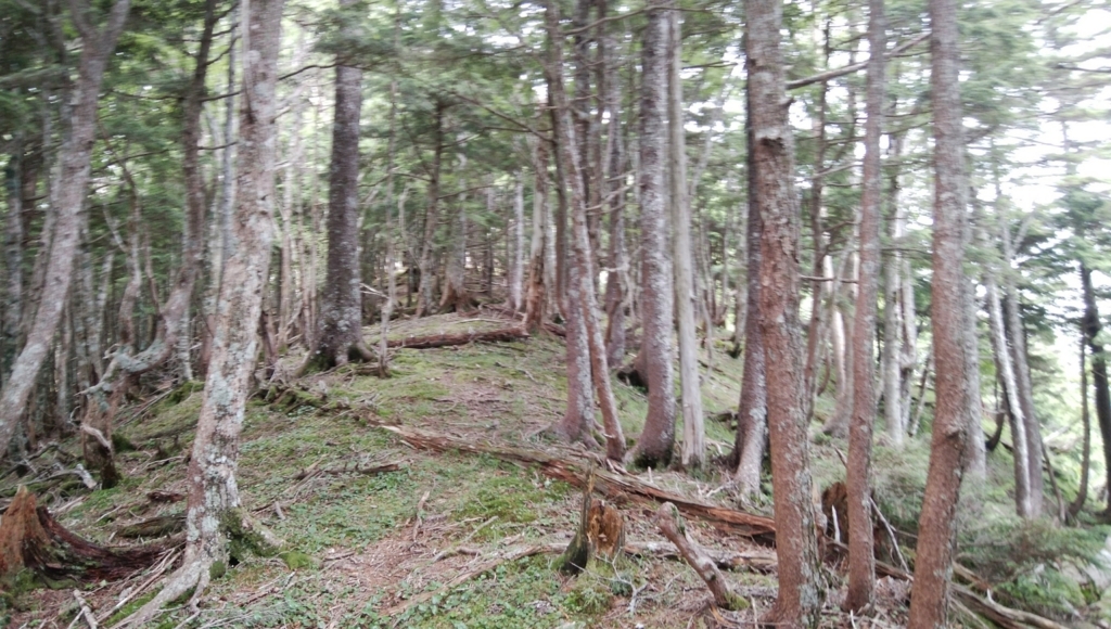 f:id:vivid_783:20180728211916j:plain f:id:vivid_783:20180728211916j:plain