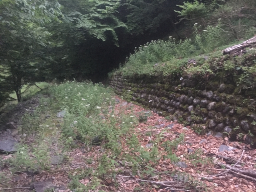 f:id:vivid_783:20180728214136j:plain f:id:vivid_783:20180728214136j:plain