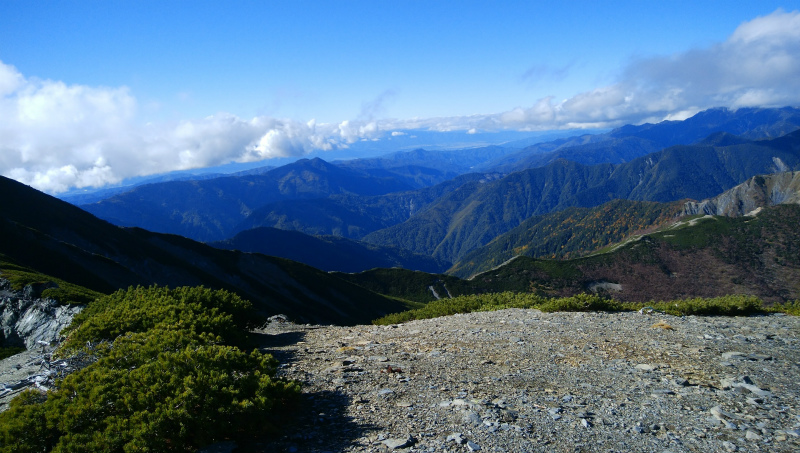 f:id:vivid_783:20181027182308j:plain f:id:vivid_783:20181027182308j:plain