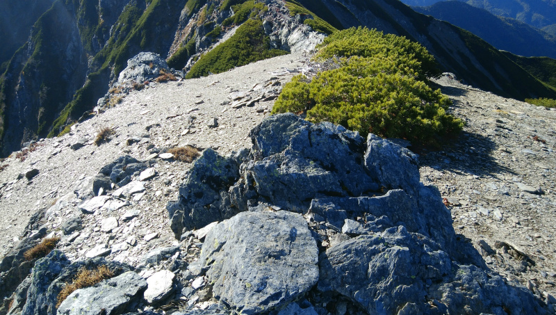 f:id:vivid_783:20181027182310j:plain f:id:vivid_783:20181027182310j:plain