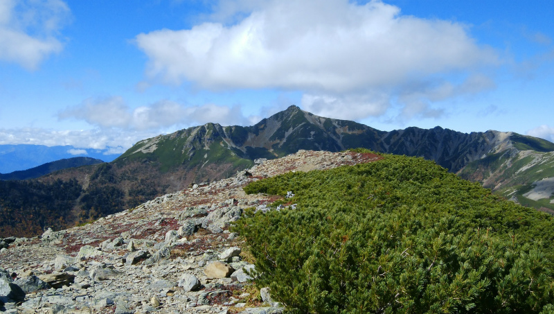 f:id:vivid_783:20181027182331j:plain f:id:vivid_783:20181027182331j:plain