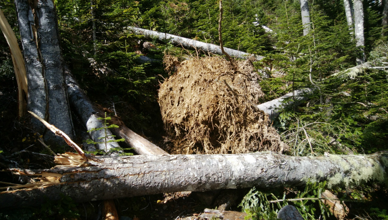 f:id:vivid_783:20181027182343j:plain f:id:vivid_783:20181027182343j:plain