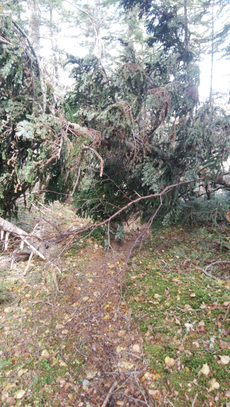 f:id:vivid_783:20181027182348j:plain f:id:vivid_783:20181027182348j:plain