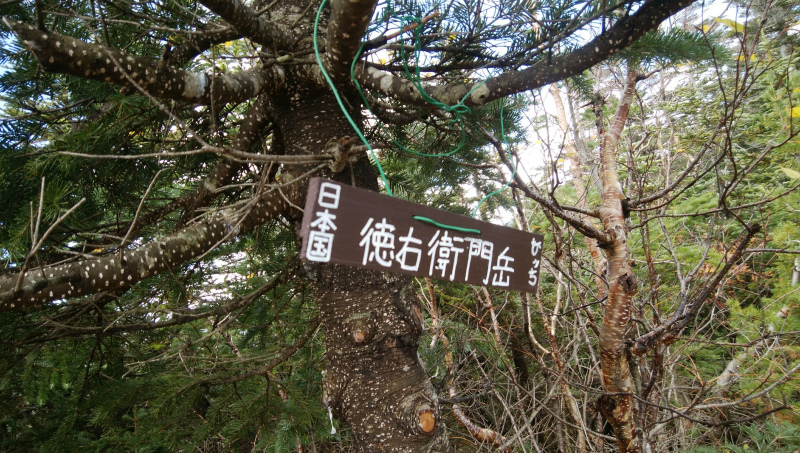 f:id:vivid_783:20181027182350j:plain f:id:vivid_783:20181027182350j:plain