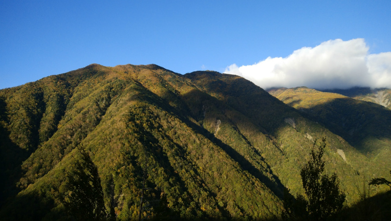 f:id:vivid_783:20181027182353j:plain f:id:vivid_783:20181027182353j:plain