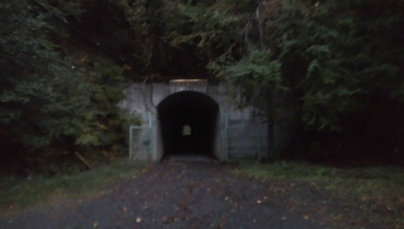 f:id:vivid_783:20181027182402j:plain f:id:vivid_783:20181027182402j:plain