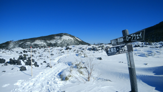 f:id:vivid_783:20190204211202j:plain f:id:vivid_783:20190204211202j:plain