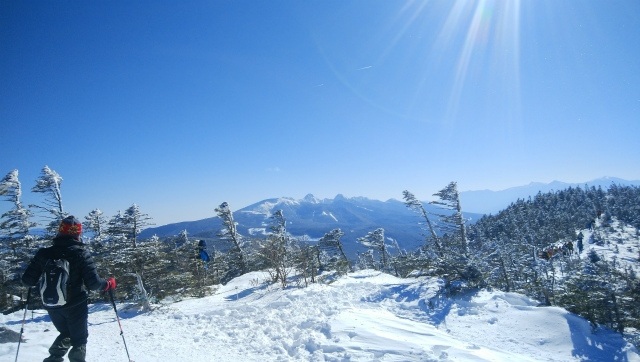 f:id:vivid_783:20190204211212j:plain f:id:vivid_783:20190204211212j:plain