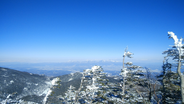 f:id:vivid_783:20190204211213j:plain f:id:vivid_783:20190204211213j:plain