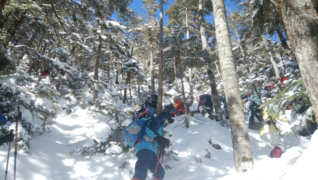 f:id:vivid_783:20190204211222j:plain f:id:vivid_783:20190204211222j:plain