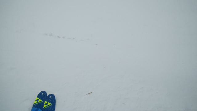 f:id:vivid_783:20190211105025j:plain