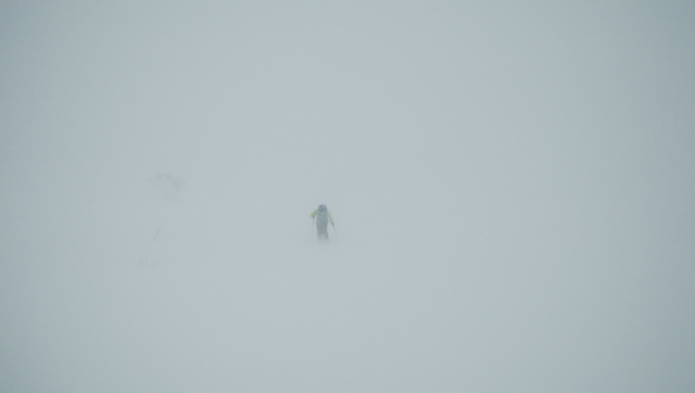 f:id:vivid_783:20190211105028j:plain