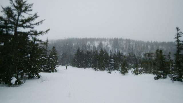 f:id:vivid_783:20190211105030j:plain