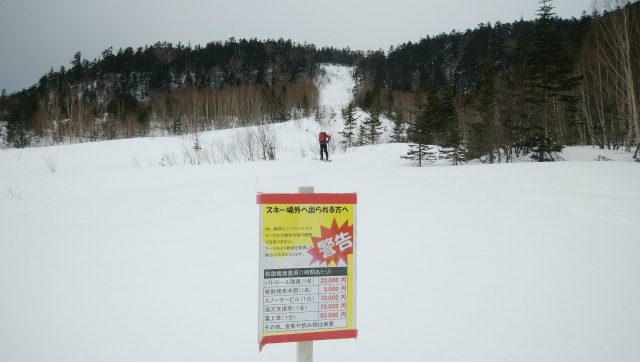 f:id:vivid_783:20190211105032j:plain