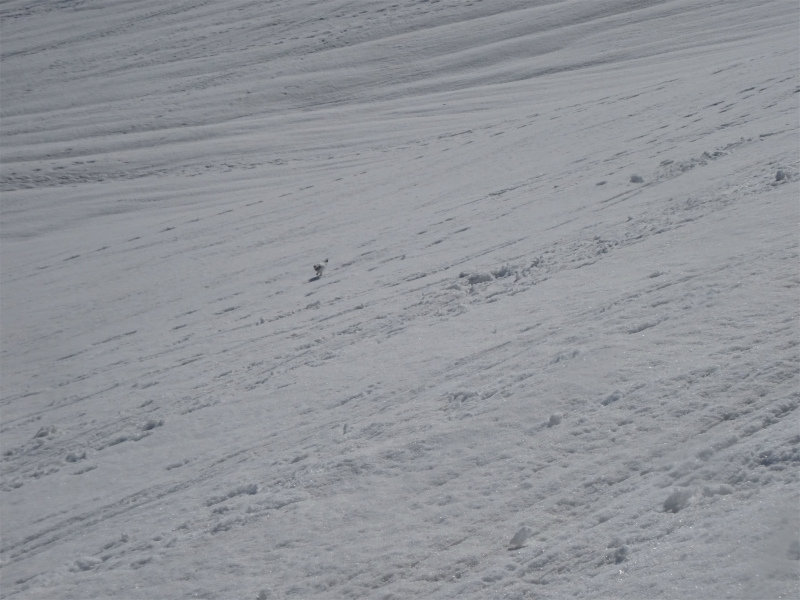 f:id:vivid_783:20190505143251j:plain