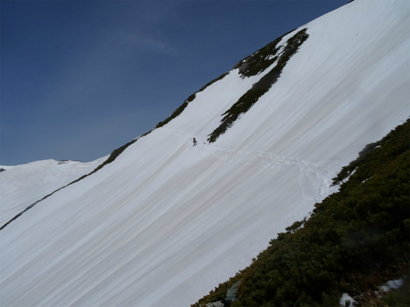 f:id:vivid_783:20190505143302j:plain