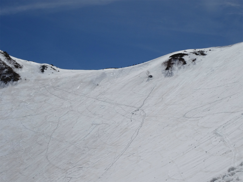 f:id:vivid_783:20190505143309j:plain