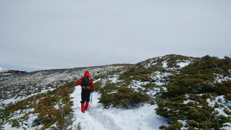 f:id:vivid_783:20190506170936j:plain f:id:vivid_783:20190506170936j:plain