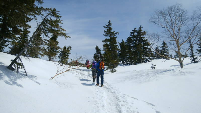 f:id:vivid_783:20190506170942j:plain f:id:vivid_783:20190506170942j:plain