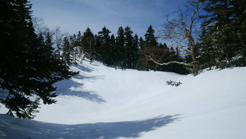 f:id:vivid_783:20190506170945j:plain f:id:vivid_783:20190506170945j:plain