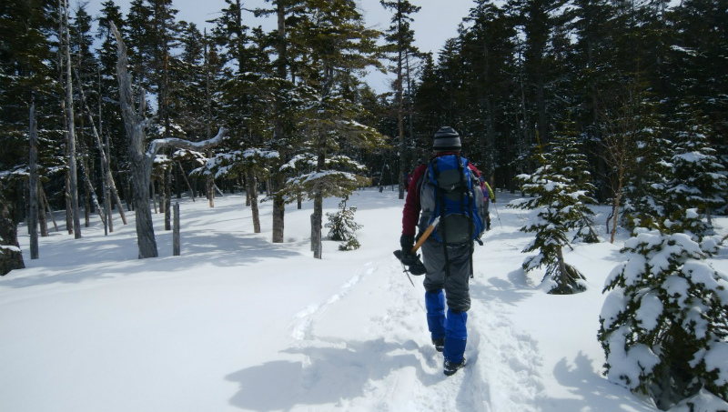 f:id:vivid_783:20190506170952j:plain f:id:vivid_783:20190506170952j:plain