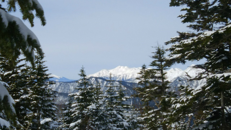 f:id:vivid_783:20190506170953j:plain f:id:vivid_783:20190506170953j:plain