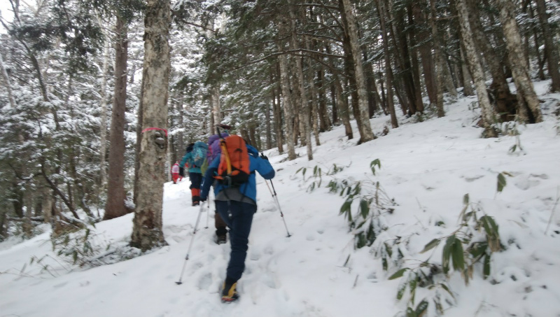 f:id:vivid_783:20190506171000j:plain f:id:vivid_783:20190506171000j:plain