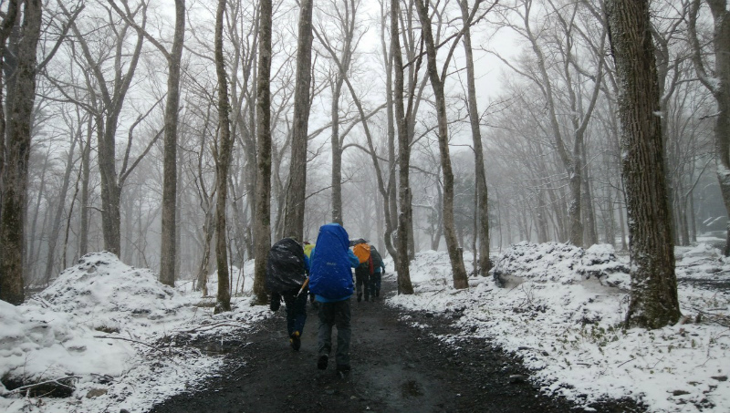 f:id:vivid_783:20190506171006j:plain f:id:vivid_783:20190506171006j:plain